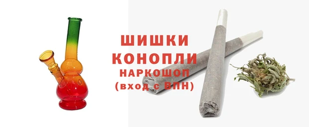 ГАЛЛЮЦИНОГЕННЫЕ ГРИБЫ Белокуриха