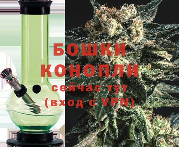 ГАЛЛЮЦИНОГЕННЫЕ ГРИБЫ Белокуриха
