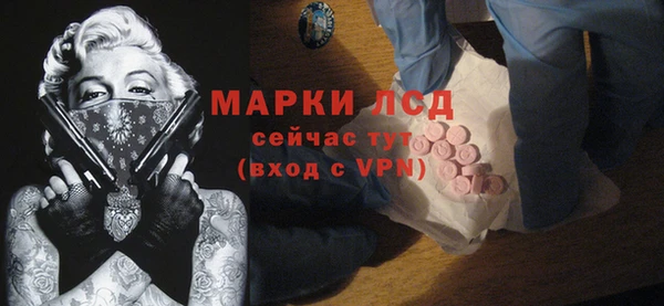 ГАЛЛЮЦИНОГЕННЫЕ ГРИБЫ Белокуриха
