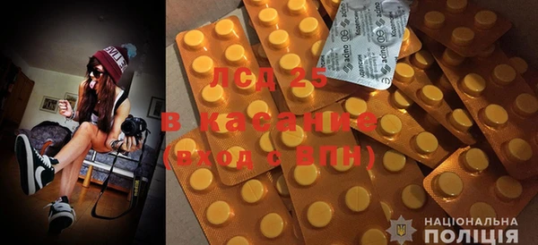 ГАЛЛЮЦИНОГЕННЫЕ ГРИБЫ Белокуриха