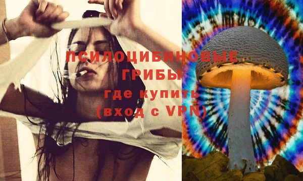 ГАЛЛЮЦИНОГЕННЫЕ ГРИБЫ Белокуриха