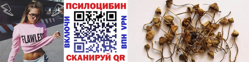 Псилоцибиновые грибы мухоморы Облучье