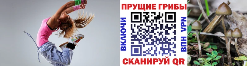 Псилоцибиновые грибы Psilocybe  где продают наркотики  ссылка на мегу как зайти  Облучье 